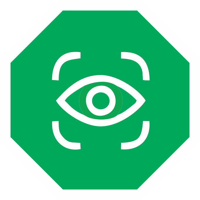 Vision